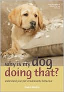 Why Is My Dog Doing That?
