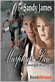 Murphy's Law [Damaged Heroes, Book 1] (Bookstrand Publishing)