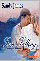 Free Falling [Damaged Heroes, Book 2] (Bookstrand Publishing)