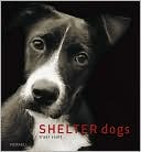 Shelter Dogs