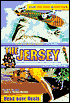 Head over the Heels (The Jersey Series #6)