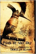 Push Of The Sky