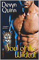 Soul of the Wildcat