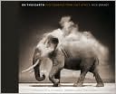 On This Earth: Photographs from East Africa
