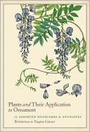 Plants and Their Application to Ornament Notecards