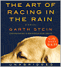 The Art of Racing in the Rain