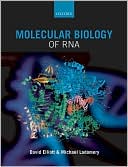Molecular Biology of RNA