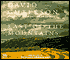 East of the Mountains