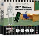 Cast and Paint 30" Human Diorama by Skullduggery: Product Image