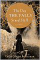 The Day the Falls Stood Still