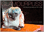 Glamourpuss: The Enchanting World of Kitty Wigs