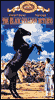 Black Stallion Returns with Kelly Reno