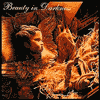 Beauty in Darkness