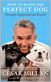 How to Raise the Perfect Dog: Through Puppyhood and Beyond