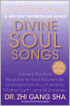 Divine Soul Songs: Sacred Practical Treasures to Heal, Rejuvenate, and Transform You, Humanity, Mother Earth, and All Universes
