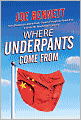 Where Underpants Come from: From Cotton Fields to Checkout Counters -- Travels Through the New China and into the New Global Economy