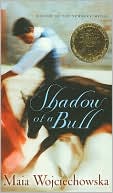 Shadow of a Bull