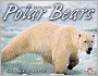 Polar Bears (Animal Predators Series)