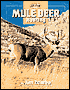 Mule Deer Hunting