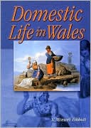 Domestic Life in Wales