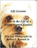 A Day In The Life Of A Yorkie Named Zander