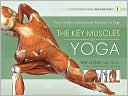 The Key Muscles of Yoga: Your Guide to Functional Anatomy in Yoga