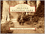 Sequoia National Park, California (Postcard Packets)