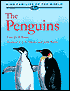 The Penguins: Spheniscidae