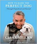 How to Raise the Perfect Dog: Through Puppyhood and Beyond