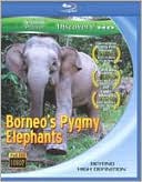 Borneo's Pygmy Elephants
