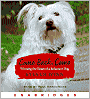 Come Back, Como: Winning the Heart of a Reluctant Dog