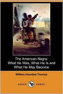 download The American Negro book