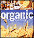Organic Living: Simple Solutions for a Better Life