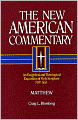 The New American Commentary Volume 22 - Matthew