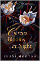 Cereus Blooms at Night