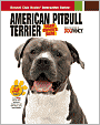 American Pit Bull Terrier