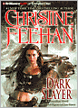 Dark Slayer (Dark Series #20)