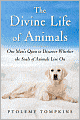 The Divine Life of Animals: One Man's Quest to Discover Whether the Souls of Animals Live On