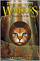Dark River (Warriors: Power of Three Series #2)