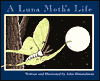 A Luna Moth's Life