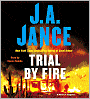 Trial by Fire (Ali Reynolds Series #5)