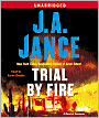 Trial by Fire (Ali Reynolds Series #5)