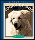 Your Pet Dog