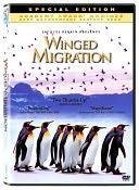 Winged Migration with Jacques Perrin