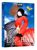 Life of Birds