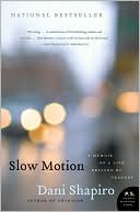 Slow Motion: A Memoir of a Life Rescued by Tragedy (P.S. Series)