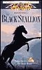 The Black Stallion with Kelly Reno