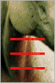 Pierce the Skin: Selected Poems, 1982-2007