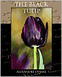 The Black Tulip