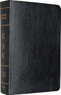The ESV Study Bible: Hardcover